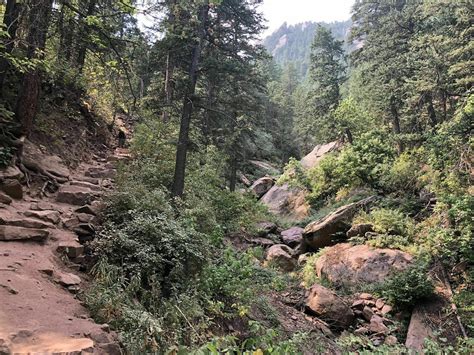 Photos of Royal Arch Trail - Colorado | AllTrails