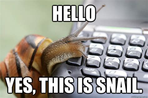 sophisticated snail memes | quickmeme