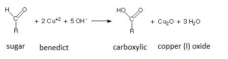 Benedict's Test For Monosaccharides And Reducing Sugars - JURNAL KU