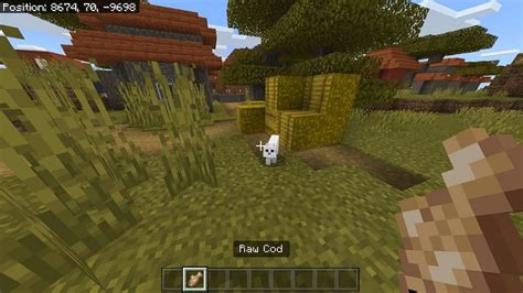 How To Spawn A Black Cat In Minecraft Java Edition, How To Summon A ...