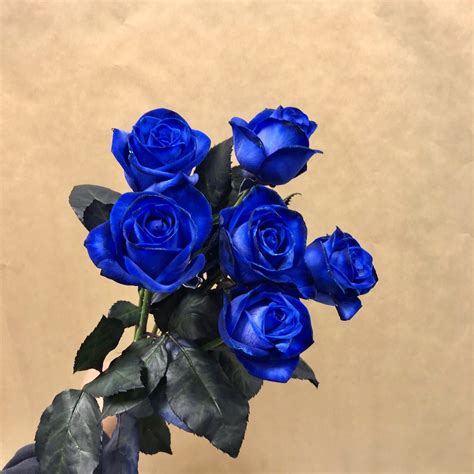 6 Blue Roses | Send Blue Roses Today