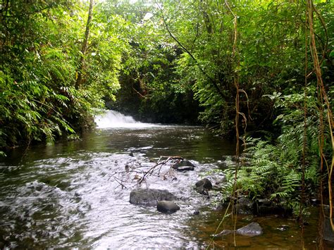 How river ecosystems respond to stress - News - Cardiff University