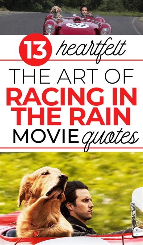 13 Heartfelt The Art of Racing in the Rain Movie Quotes - But First, Joy