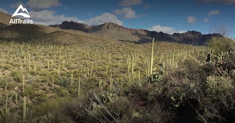 Best Trails in Tucson Mountain Park - Arizona | AllTrails