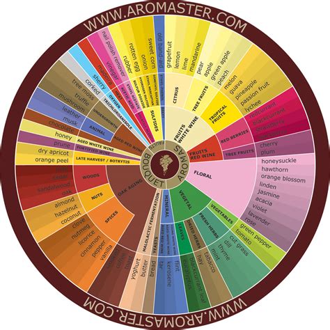 Wine Aroma Wheel Free Stock Photo - Public Domain Pictures