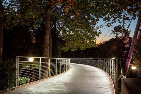 Entering Liberty Bridge at Sunrise Photograph by Denise Harty - Fine Art America