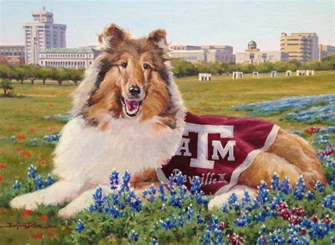 Reveille in Bluebonnets - Texas A&M University - Benjamin Knox Gallery