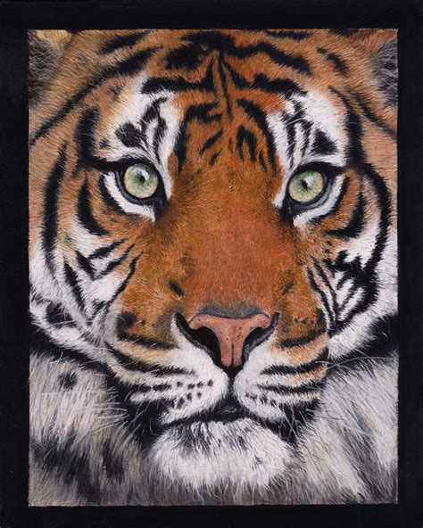 Tiger Painting Fine Art Print - Gemma Whelbourn Art