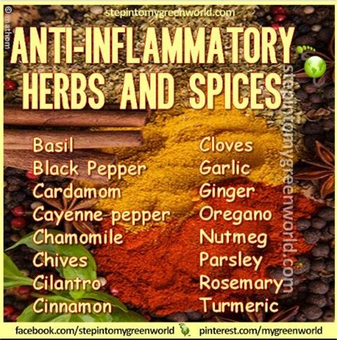 Anti Inflammatory Herbs | herbalism medicine