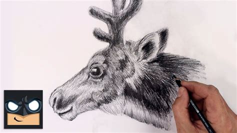 How To Draw Reindeer | Sketch Tutorial - YouTube