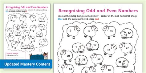 Recognising Odd and Even Numbers Worksheet worksheet