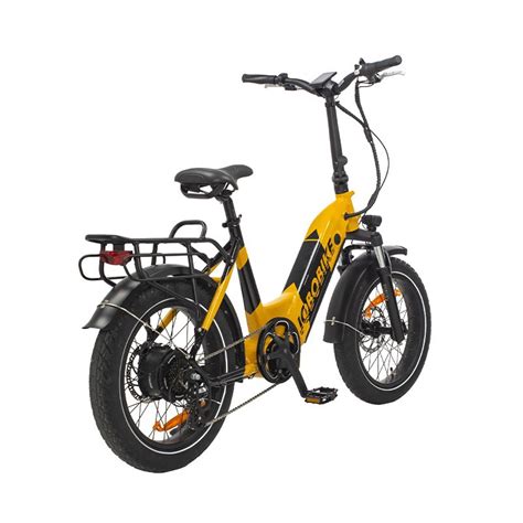 20 Inch Long Range 48V 750W High Power Electric Cargo Bike ...