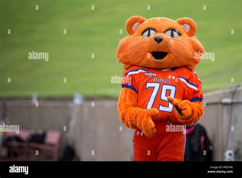 Overtime. 29th Sep, 2018. Sam Houston State Bearkats mascot, Sammy Bearkat, stalks the sideline ...