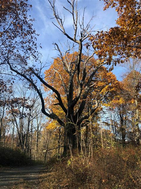 West Mountain Loop Trail - New York | AllTrails