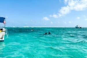 Hol Chan Marine Reserve, Belize—Belize Barrier Reef Snorkeling from Ambergris Caye - My Flying Leap