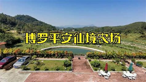 博罗平安山五百亩仙境农场景色迷人，场主规划建设大健康文旅项目,旅游,旅途风光,好看视频