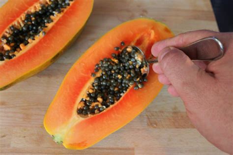 Phenomenal Health Benefits of Papaya Seeds — HealthDigezt.com