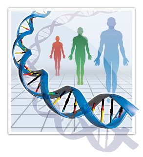 Home | Human Genetic Variation Database