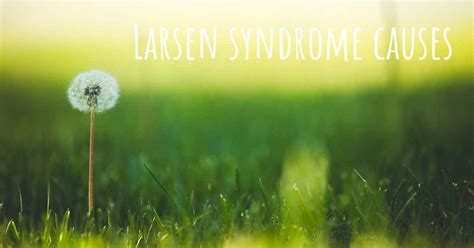 Which are the causes of Larsen syndrome?