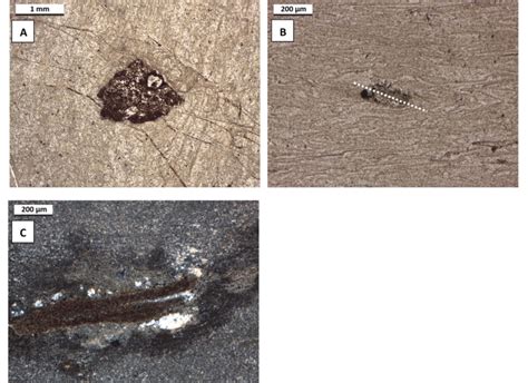 (A) Angular lithic clast showing large subhedral phenocrysts ...