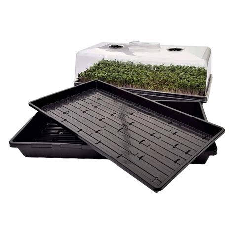 The Best Microgreen Trays in 2021: Sizes, Quality, & Types - Seeds & Grain