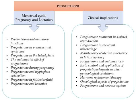 IJMS | Free Full-Text | Key to Life: Physiological Role and Clinical Implications of Progesterone