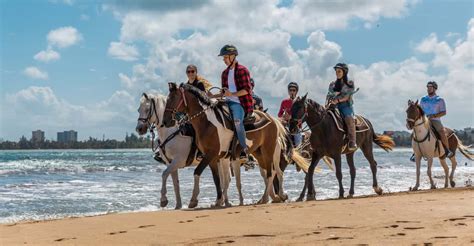 Carabalí Rainforest Park: Beach Horseback Riding | GetYourGuide