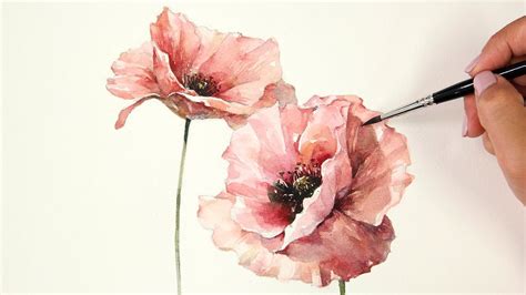 Watercolor Painting | Red Poppy - YouTube