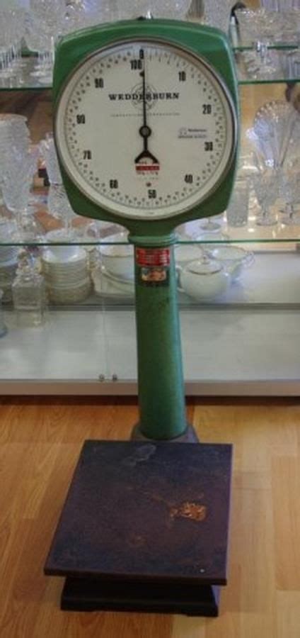 Wedderburn 100kg Scales for Commercial Use - Scales - Sundries