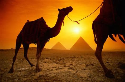 Dietro le Piramidi di Giza il Tramonto più Bello al Mondo? - TUTTA LA ...