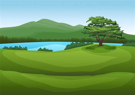 Premium Vector | A nature green landscape