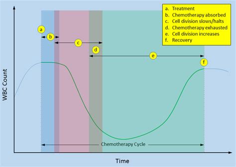 WBC During Chemotherapy - Understanding Pancreatic Cancer Blog