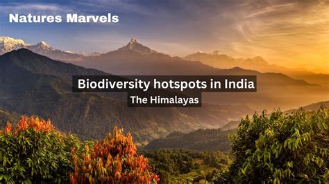 The Himalayas| Biodiversity hotspots in India @Natures Marvels - YouTube