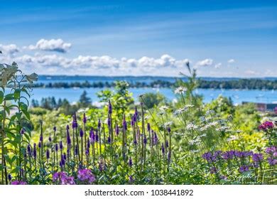 13,902 Michigan spring Images, Stock Photos & Vectors | Shutterstock