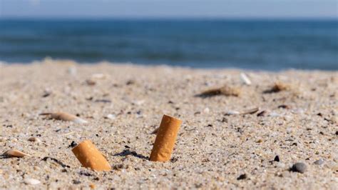 Pollution: Special cigarette bins help fight pollution on Tallinn beaches | WMW