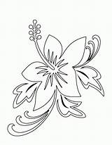 Hawaiian Flower Coloring Pages  Home sketch template