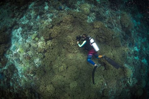 Tubbataha Reef National Marine Park - UNESCO World Heritage Site in the Sulu Sea – Go Guides