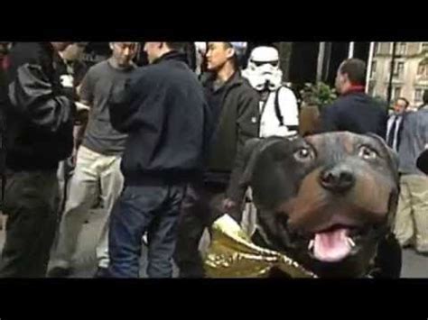 TRIUMPH THE INSULT COMIC DOG meets Star Wars fans - YouTube