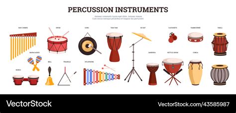 Big set of percussion instruments with names Vector Image