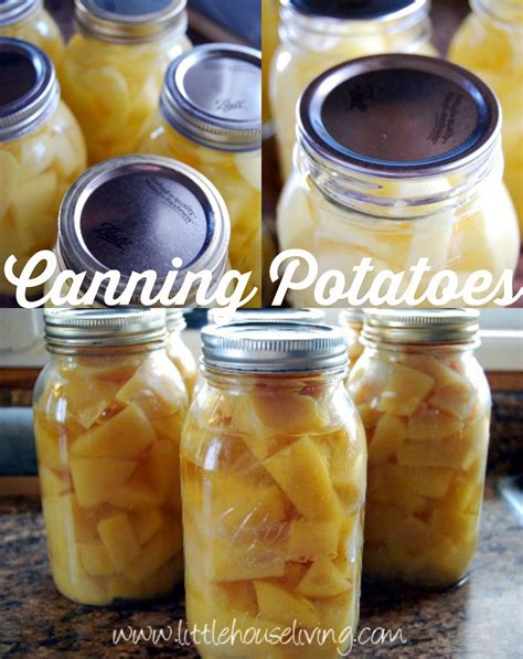 How to Begin Canning Potatoes | Recipe | Canning potatoes, Canning recipes, Canning vegetables