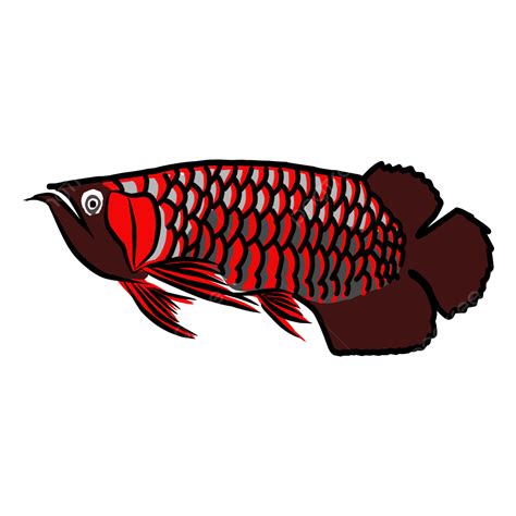 Arowana Fish Logo Vector, Dragon, Arowana Fish, Water PNG and Vector ...