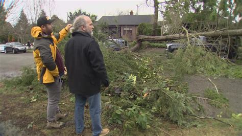 Seattle City Light preparing for severe weather this week | king5.com