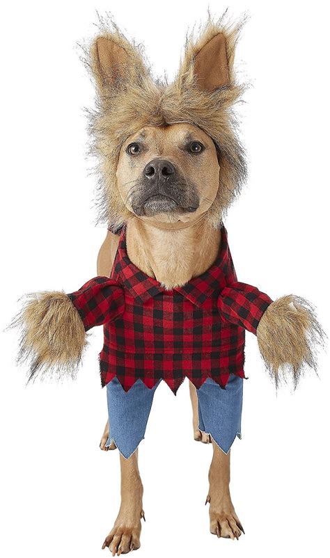 Tricks and Treats! 10 Best Halloween Costumes for your Dog - Will Sit ...