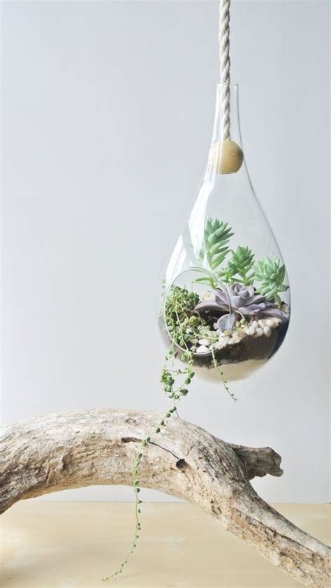 Cool 58 Beautiful Hanging Terrarium Ideas For Modern Garden. More at https://homedecorizz.com ...