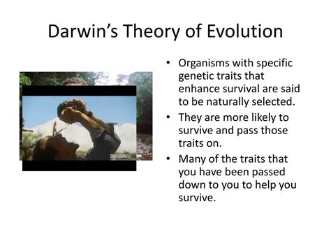 PPT - Evolutionary Psychology PowerPoint Presentation, free download - ID:2792169