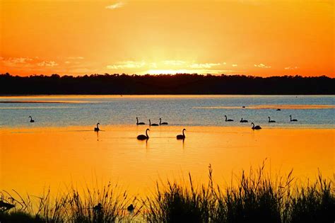 Tuggerah Lake, NSW | New south wales, Landscape, Beautiful landscapes