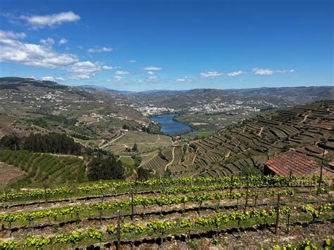 Map of Douro Valley Wineries - All Wine Tours