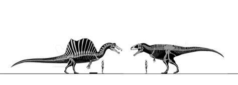 Size comparison scale | The World of Animals Spinosaurus vs Carcharodontosaurus (con imágenes)