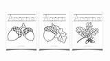3 Free Printable Acorn Coloring Pages sketch template
