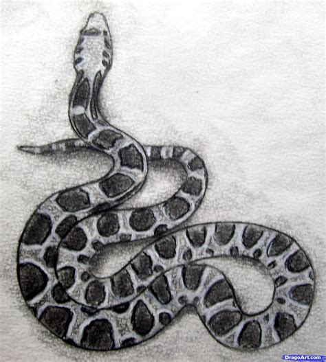 how to draw a realistic snake step 8 Snake Sketch, Snake Drawing, Snake Art, Lips Drawing, Wall ...